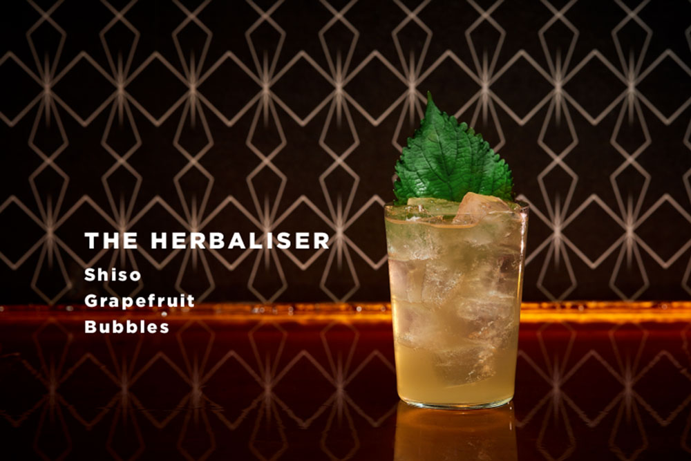 The-Herbaliser-the-grid-cocktail-bar-koeln